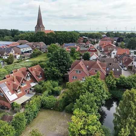 Petersdorf Vergissmeinnicht *